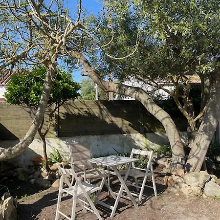 Maison Confortable A Barbatre, Pres De La - Fr-1-823-148 Holiday home Barbatre